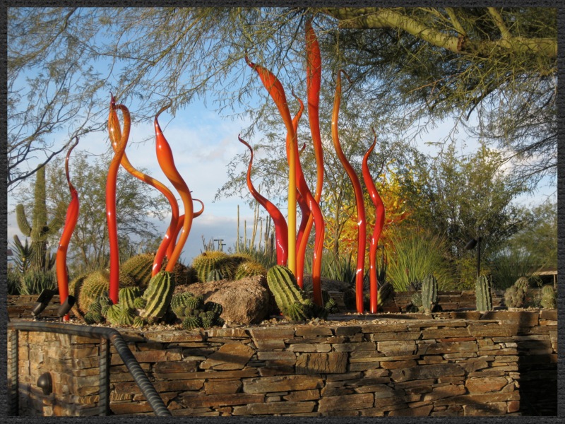 Chihuly glass enlivens garden - Barbara Safranek Design