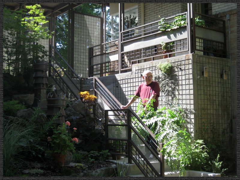 vertical gardening - Barbara Safranek Design