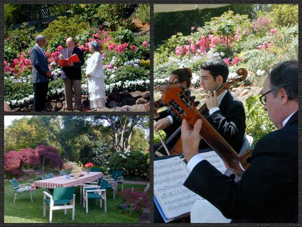 garden wedding - Barbara Safranek Design