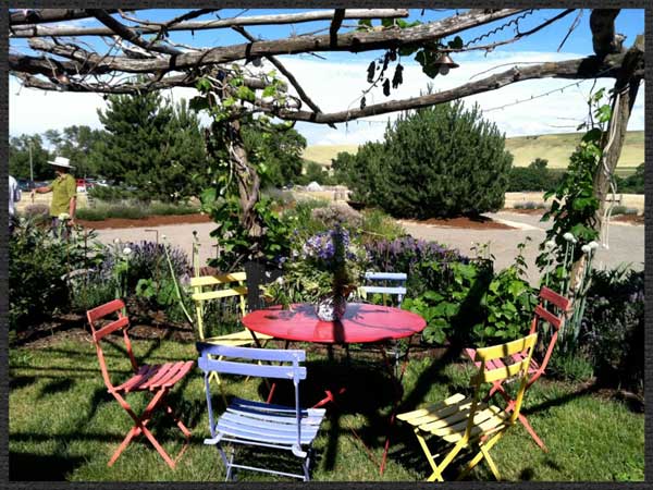 Colorful garden furnishings - Barbara Safranek Design