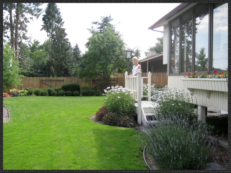 deck floating - Barbara Safranek Design