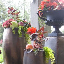 Using pots and containers in landscape design and gardens.