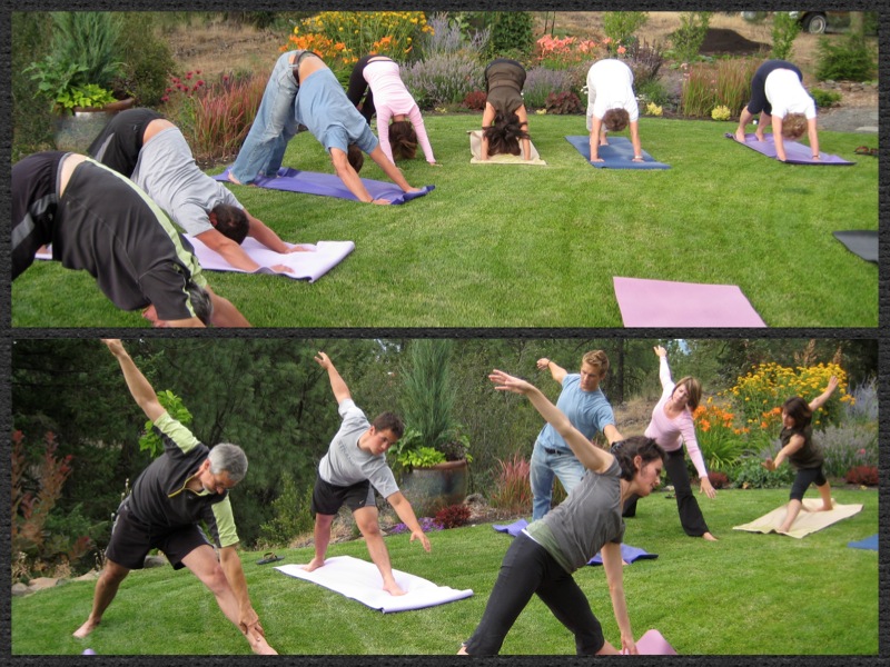 garden yoga - Barbara Safranek Design