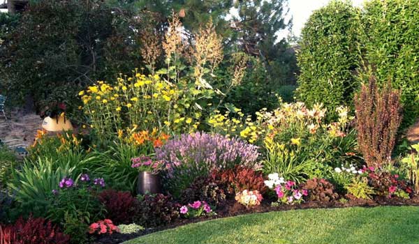 backyard-colorful-flowers