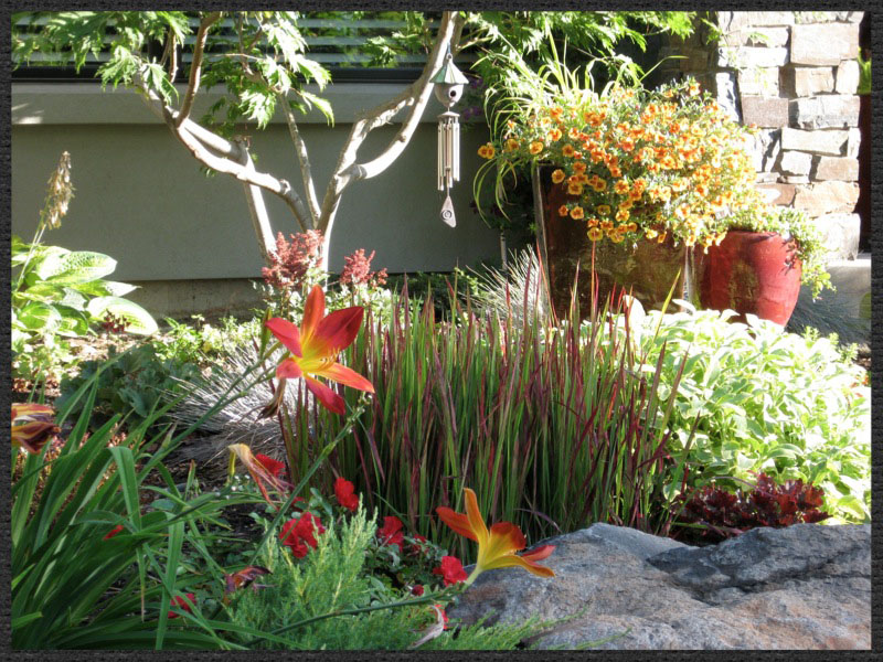 Warm planting palette –Barbara Safranek design