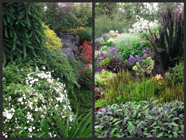 garden design - layering textures