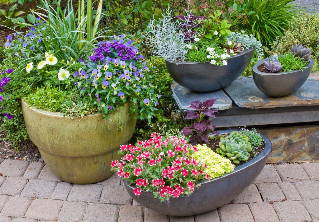 Lovely cluster of pot arrangements along front yard entry.